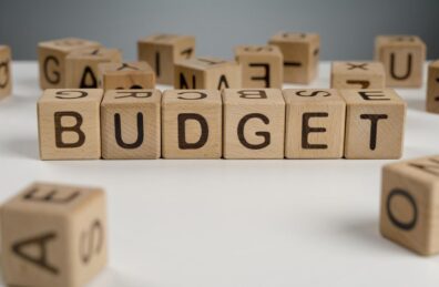 Budget 2014 RETEX REX